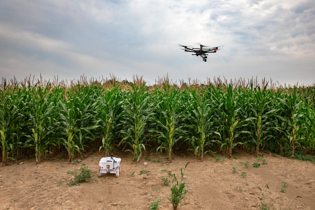 Cornell researchers use robots on the ground and drones in the air to monitor the quality and growth of crops at the Musgrave Research Farm in Aurora.